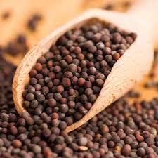Fresh Brown Mustard Seeds